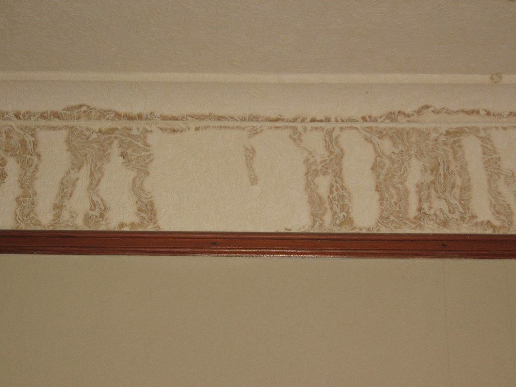 Interior wall with blistered, stained paint along a band above the trim